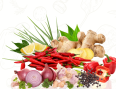 CÔNG TY TNHH  RAU CỦ QUẢ N&P