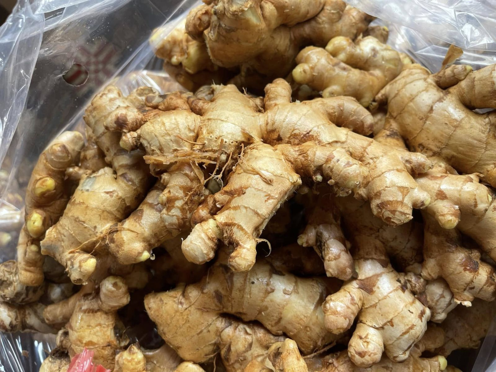 Lợi ích sức khỏe của gừng tỏi ớt