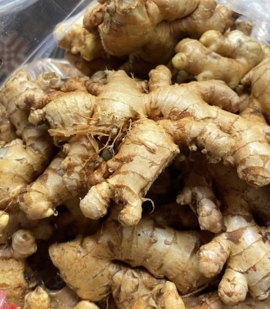 GỪNG - CÔNG TY TNHH RAU CỦ QUẢ N&P