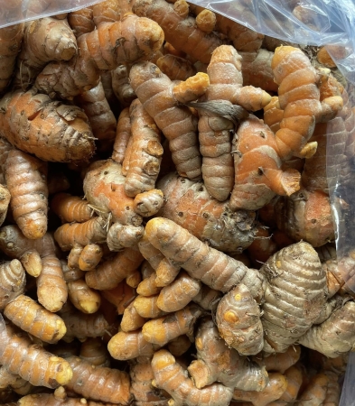 CỦ RIỀNG - CÔNG TY TNHH RAU CỦ QUẢ N&P